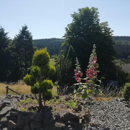Fewo Koeppe Kopp Bagian luar foto