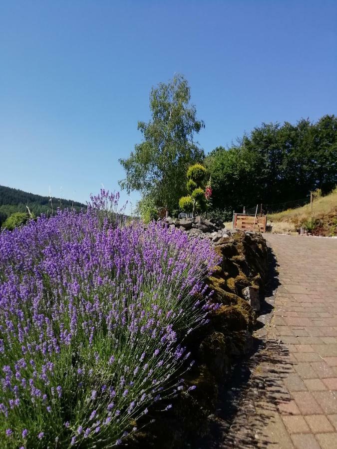 Fewo Koeppe Kopp Bagian luar foto